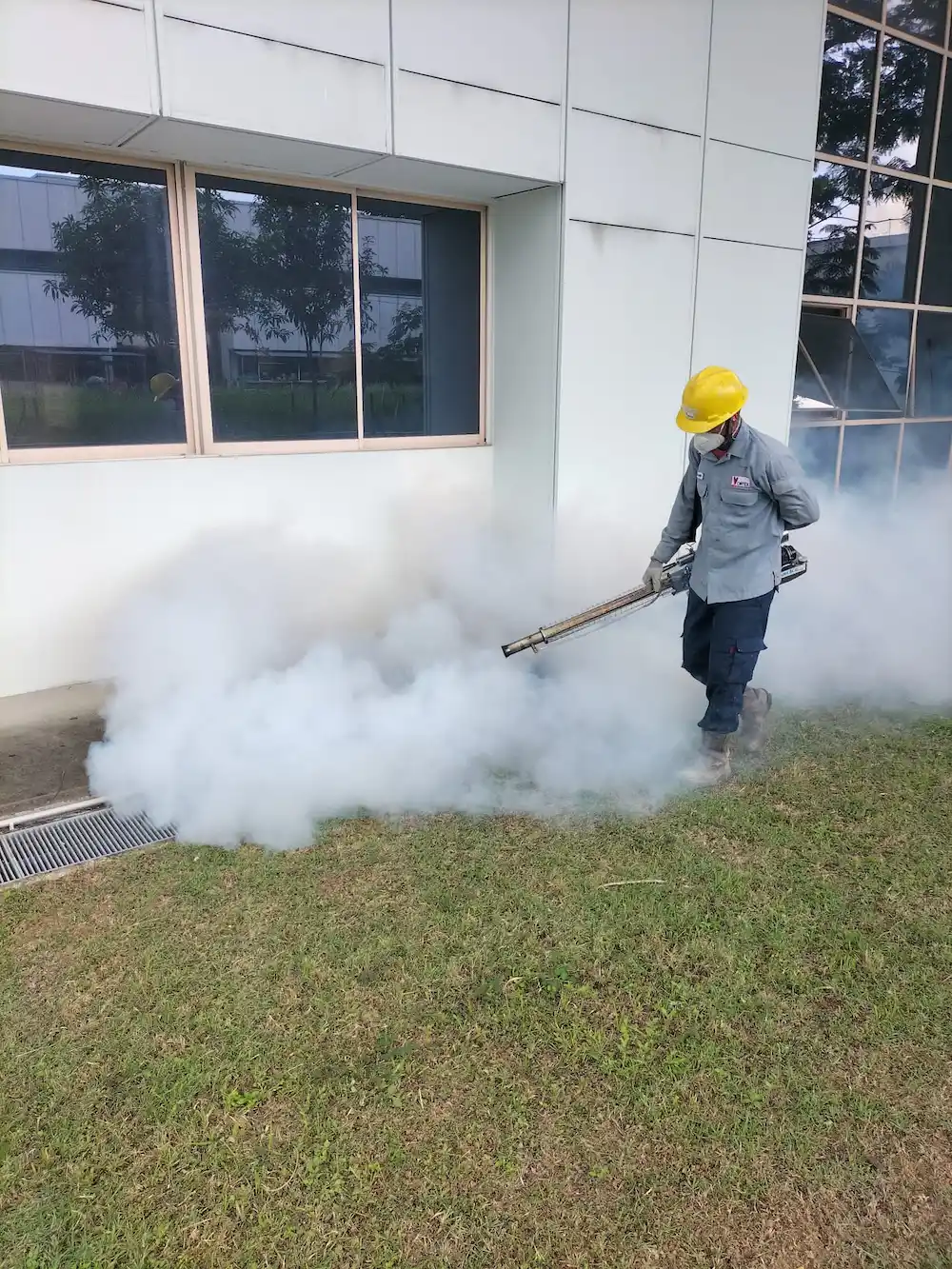Wizclean Services | Vortex staff carrying out fogging operations