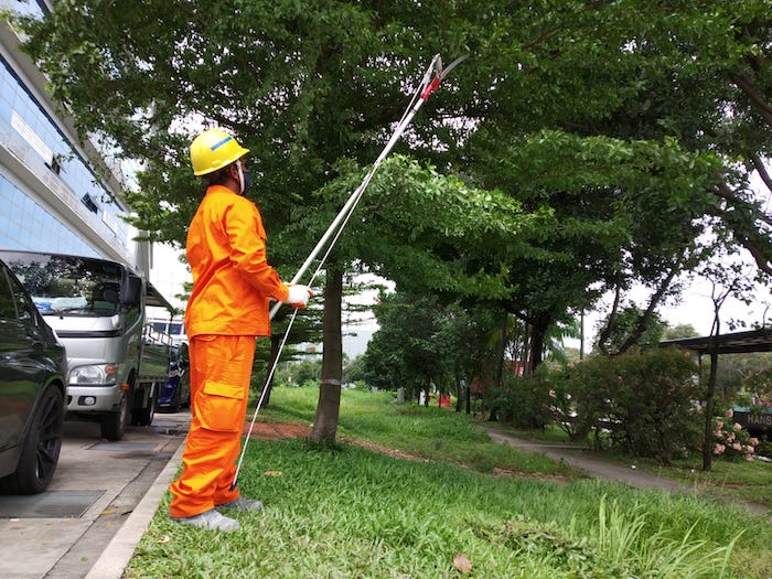 Vortex Employee Trimming Trees