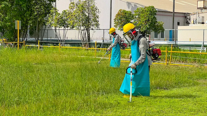 Wizclean staff cutting grass wearing the right gear, and using the right tools.